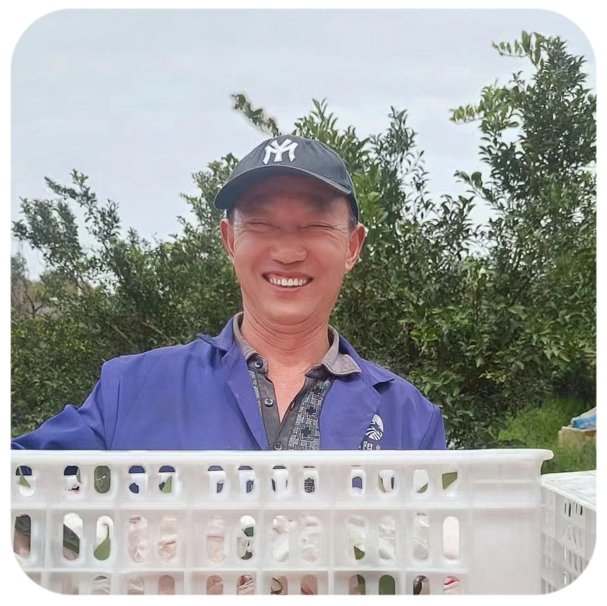 guitar player at concert